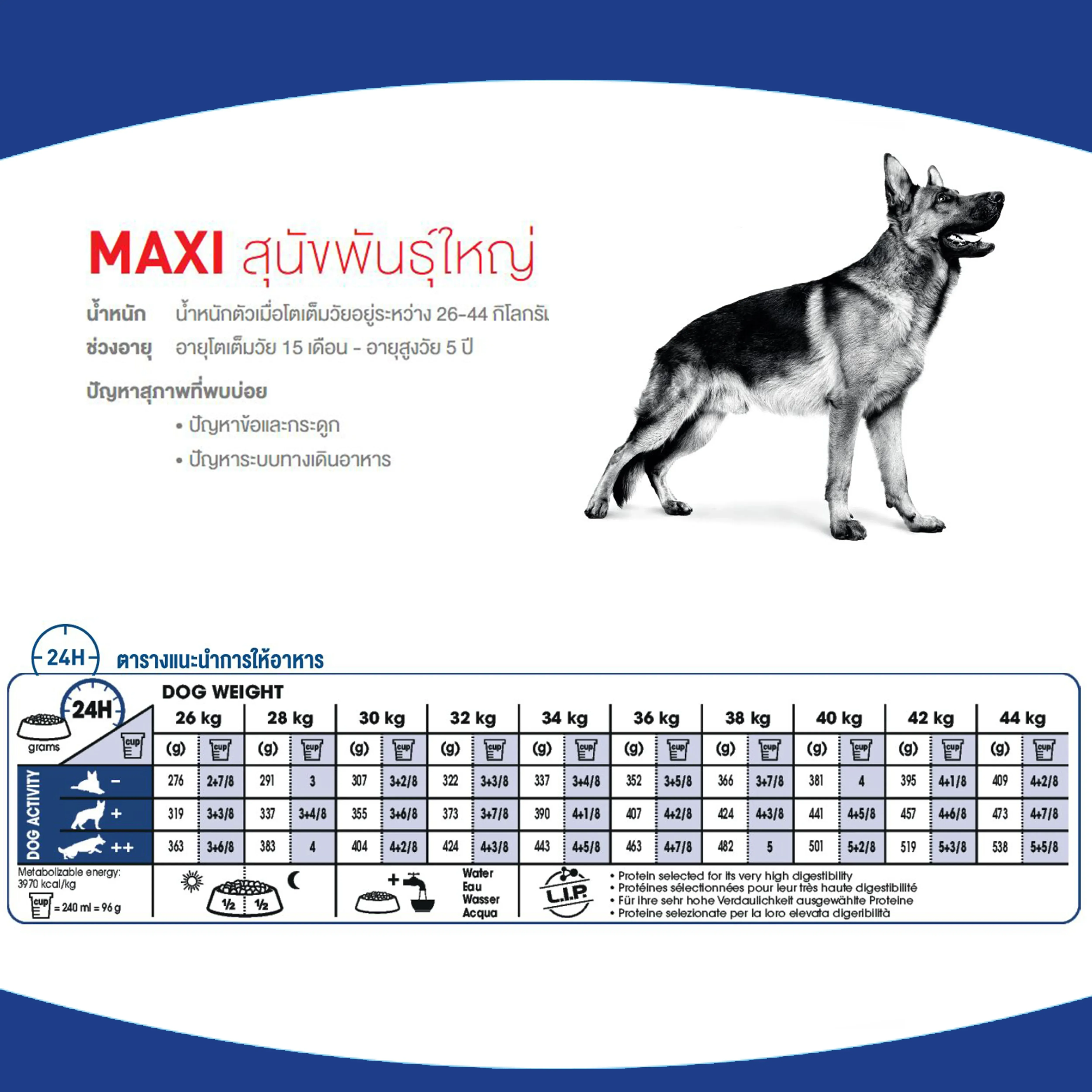 Royal Canin Maxi Adult อาหารสำหรับสุนัขโตพันธุ์ใหญ่