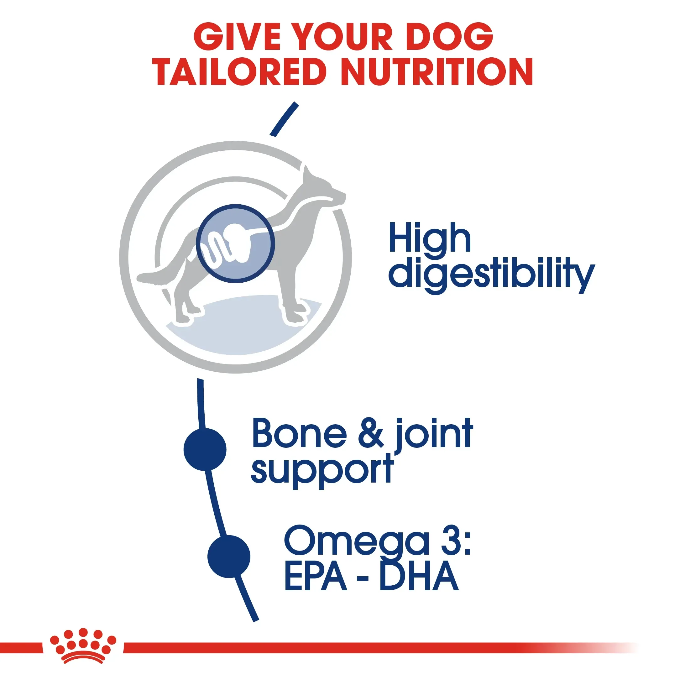 Royal Canin Maxi Adult อาหารสำหรับสุนัขโตพันธุ์ใหญ่
