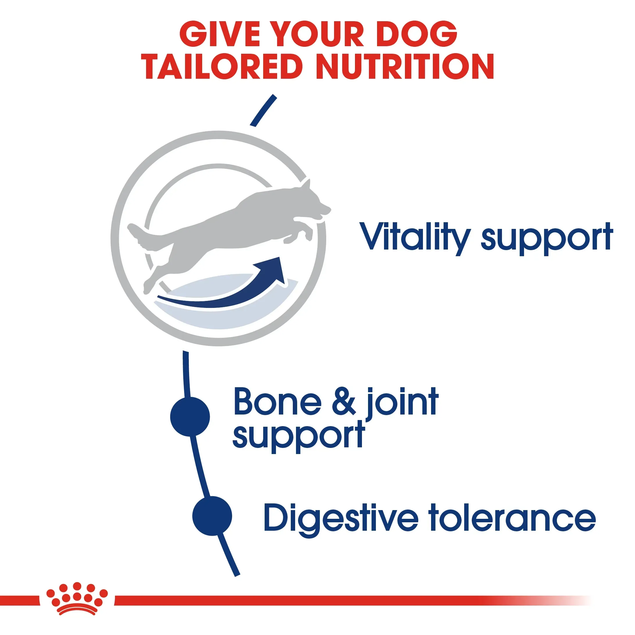 Royal Canin Maxi Adult 5+ อาหารสำหรับสุนัขสูงวัยพันธุ์ใหญ่ สูตร 5 ปีขึ้นไป