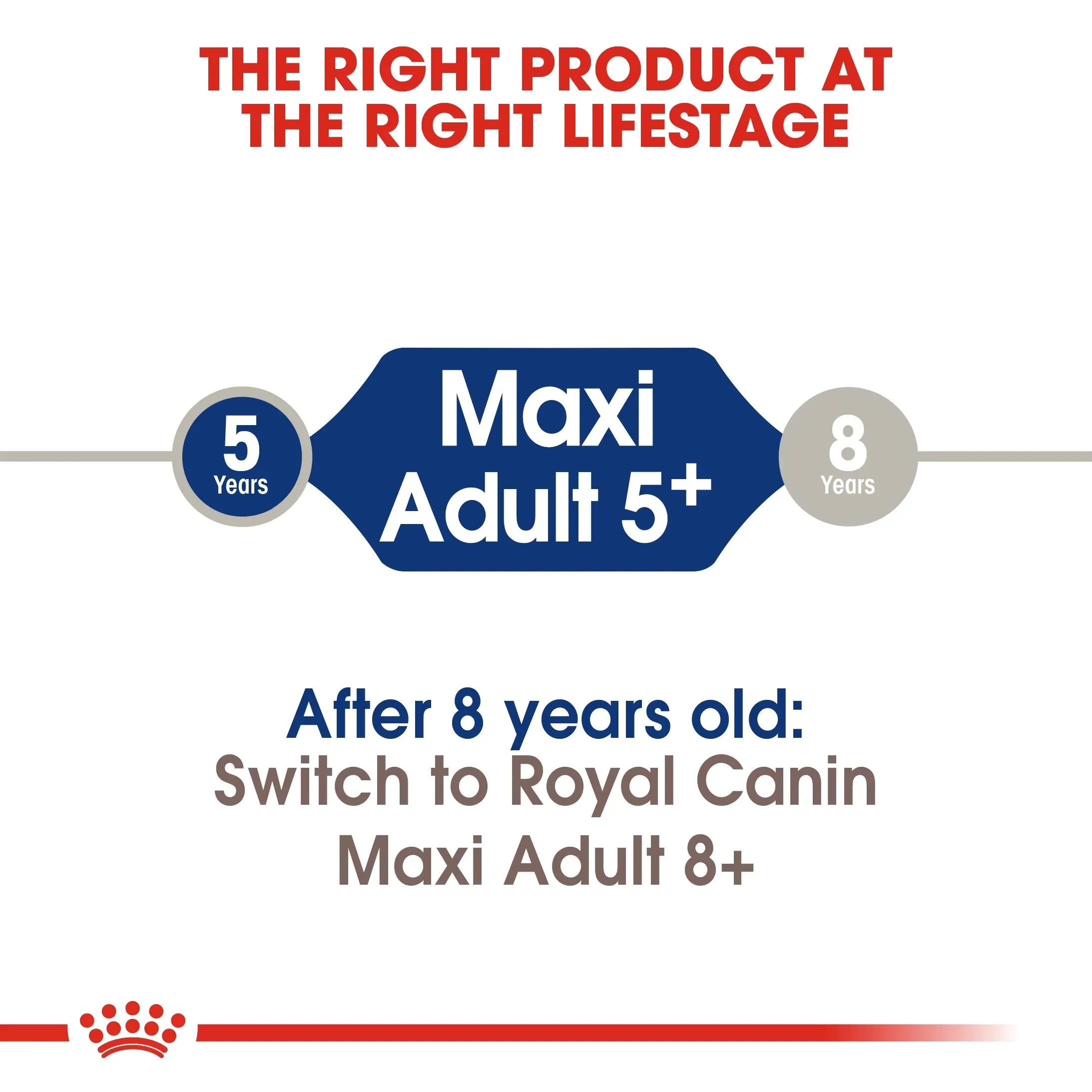 Royal Canin Maxi Adult 5+ อาหารสำหรับสุนัขสูงวัยพันธุ์ใหญ่ สูตร 5 ปีขึ้นไป