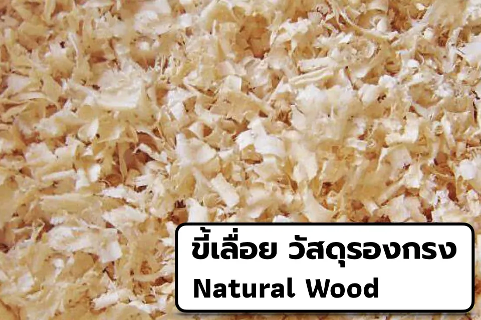 ขี้เลื่อยปูรองกรง ขี้เลื่อยหนู สำหรับสัตว์เลี้ยง 500g.