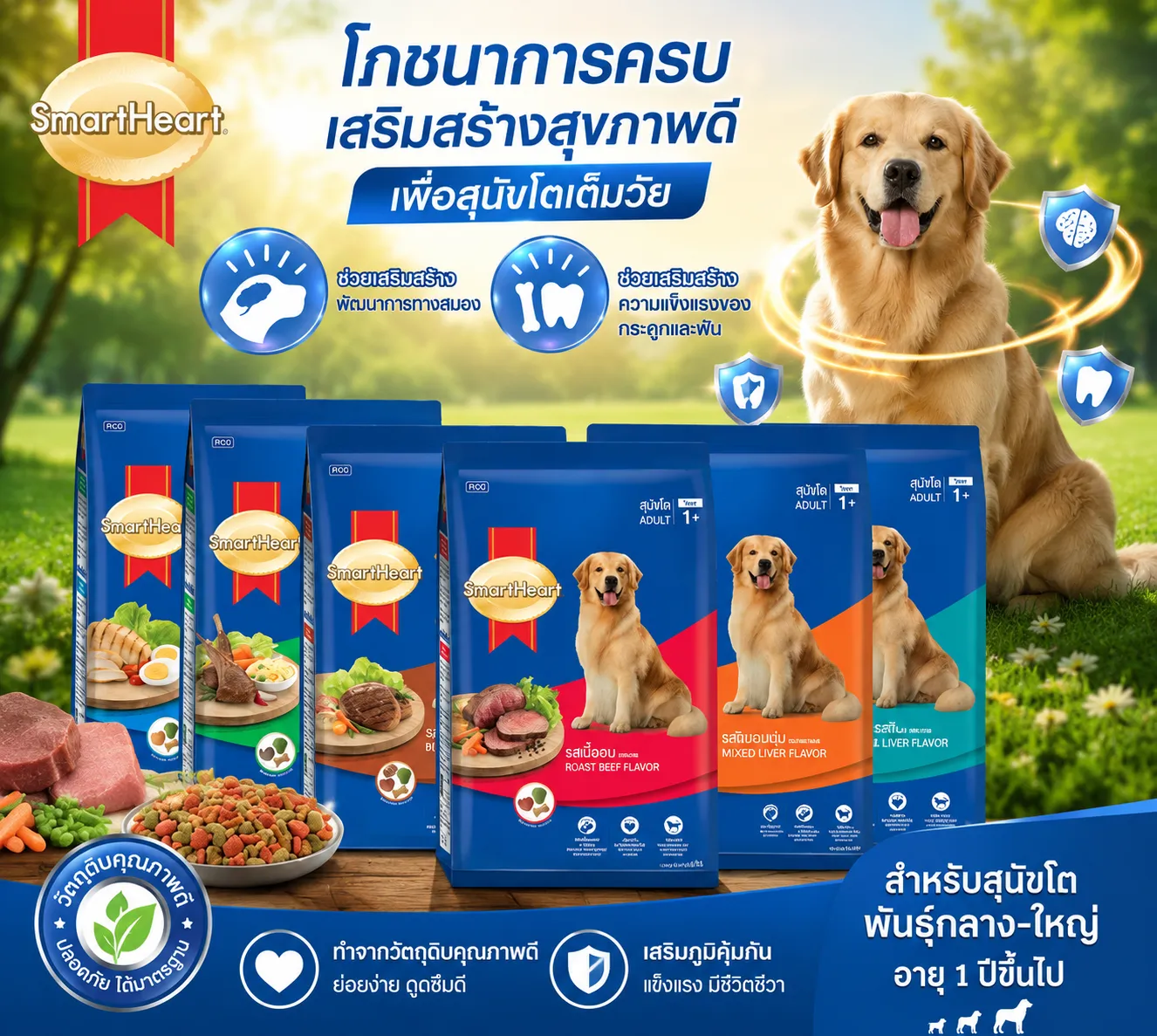 Smartheart Adult อาหารสุนัข สำหรับสุนัขโตพันธุ์กลาง-ใหญ่