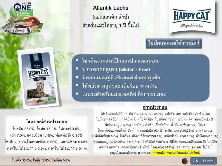 Happy Cat Supreme Culinary Atlantik Lachs สูตรแซลมอนแอตแลนติก สำหรับแมวโต