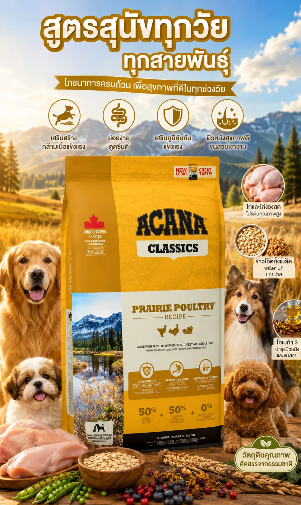 Acana Poultry อาหารเม็ด สูตรไก่จากฟาร์ม โปรตีนสูง ย่อยง่าย
