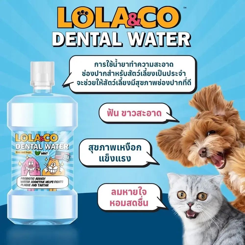 Lola&Co Dental Water น้ำยาทำความสะอาดปาก 250 Ml