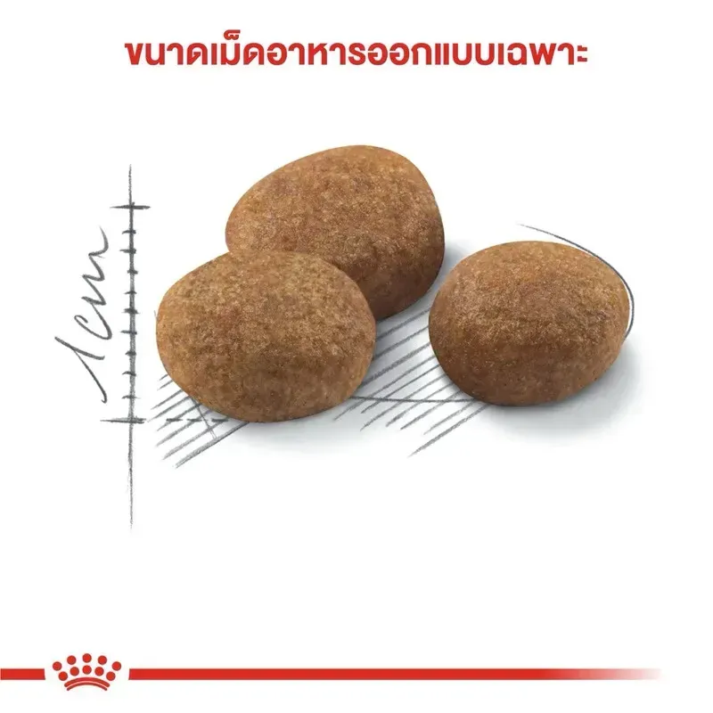 Royal Canin Sterilised 7+ อาหารสำหรับแมวโตสูงสัยทำหมัน