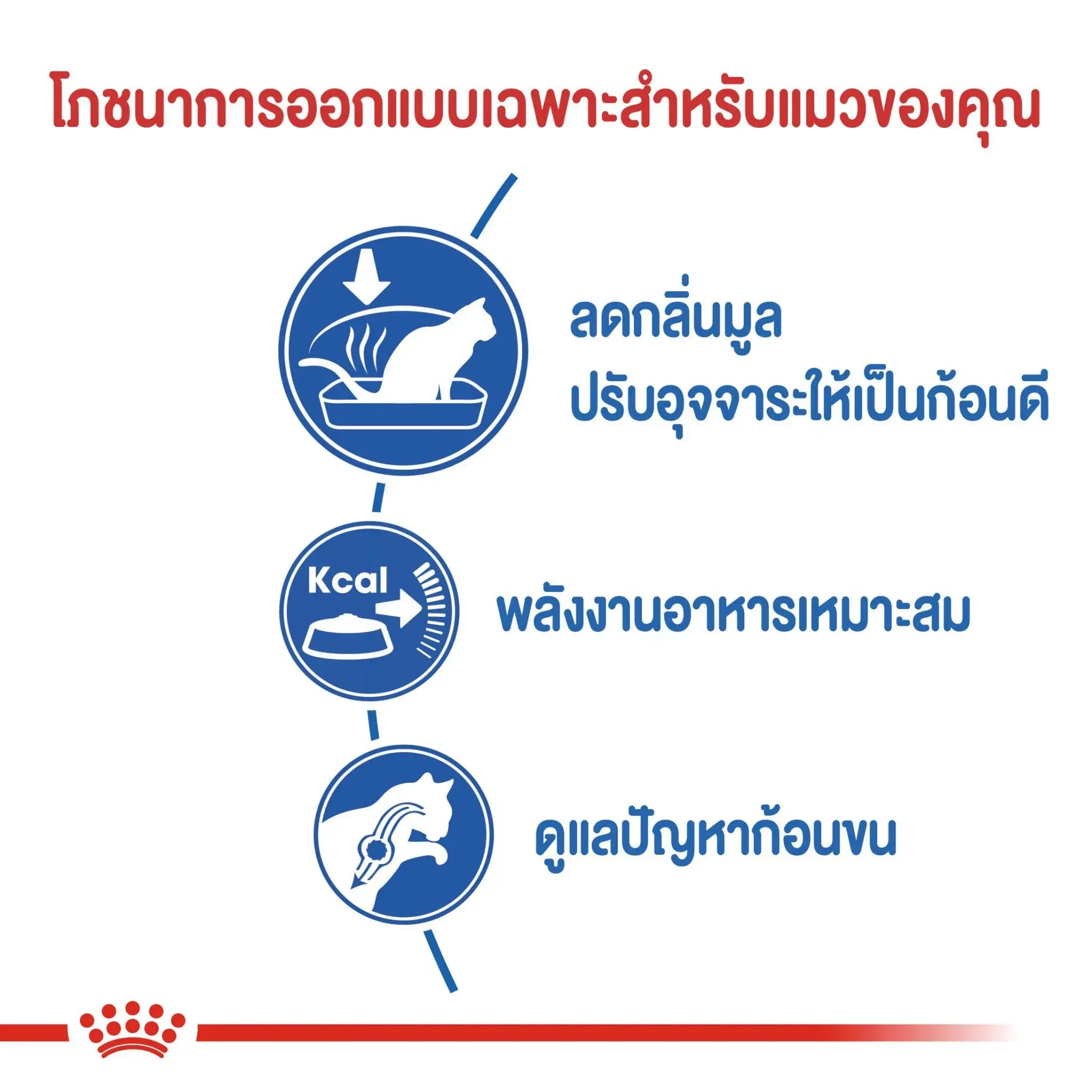 Royal Canin Indoor อาหารสำหรับแมวโต สูตรเลี้ยงในบ้าน