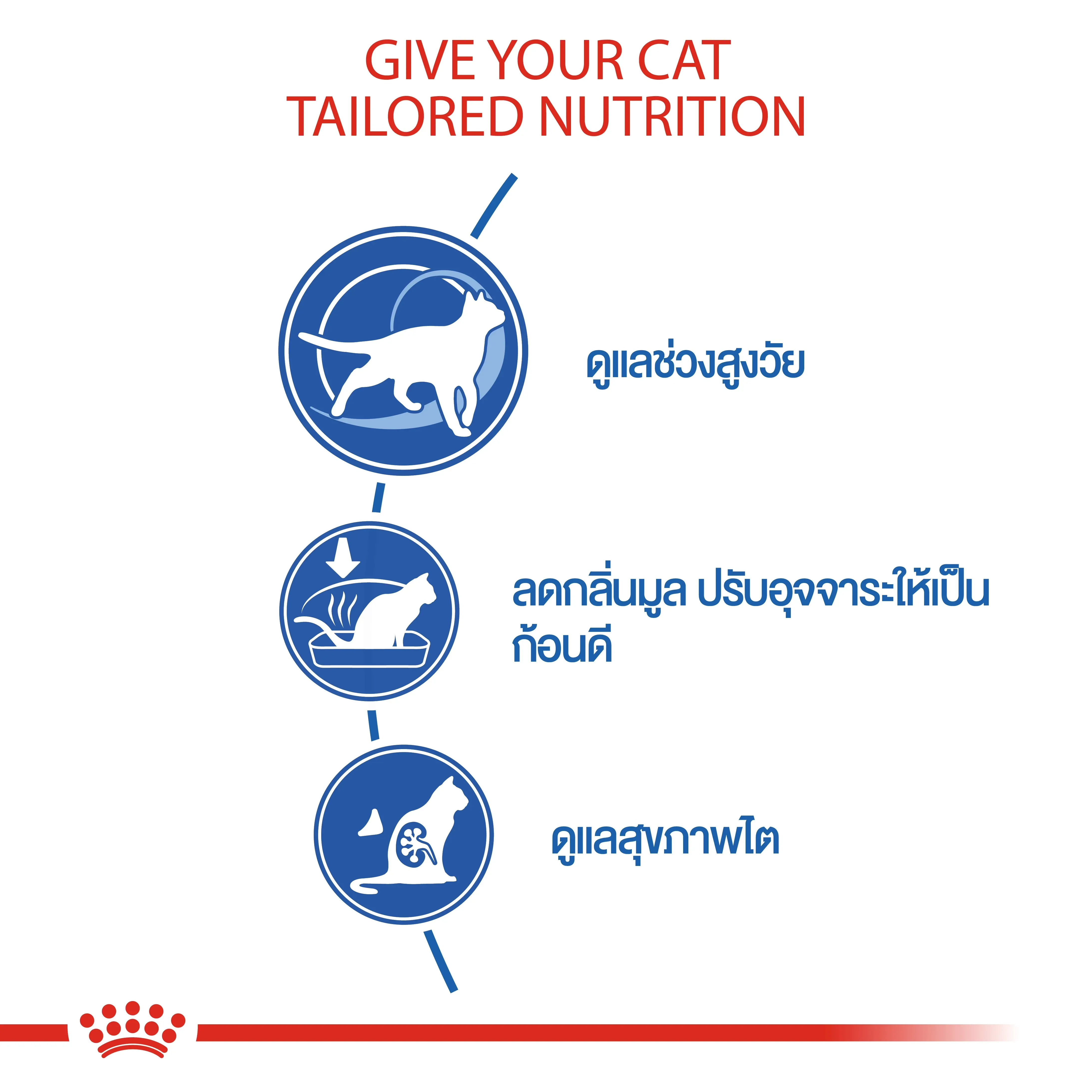 Royal Canin Indoor7+ อาหารสำหรับแมวสูงวัย7+ สูตรเลี้ยงในบ้าน