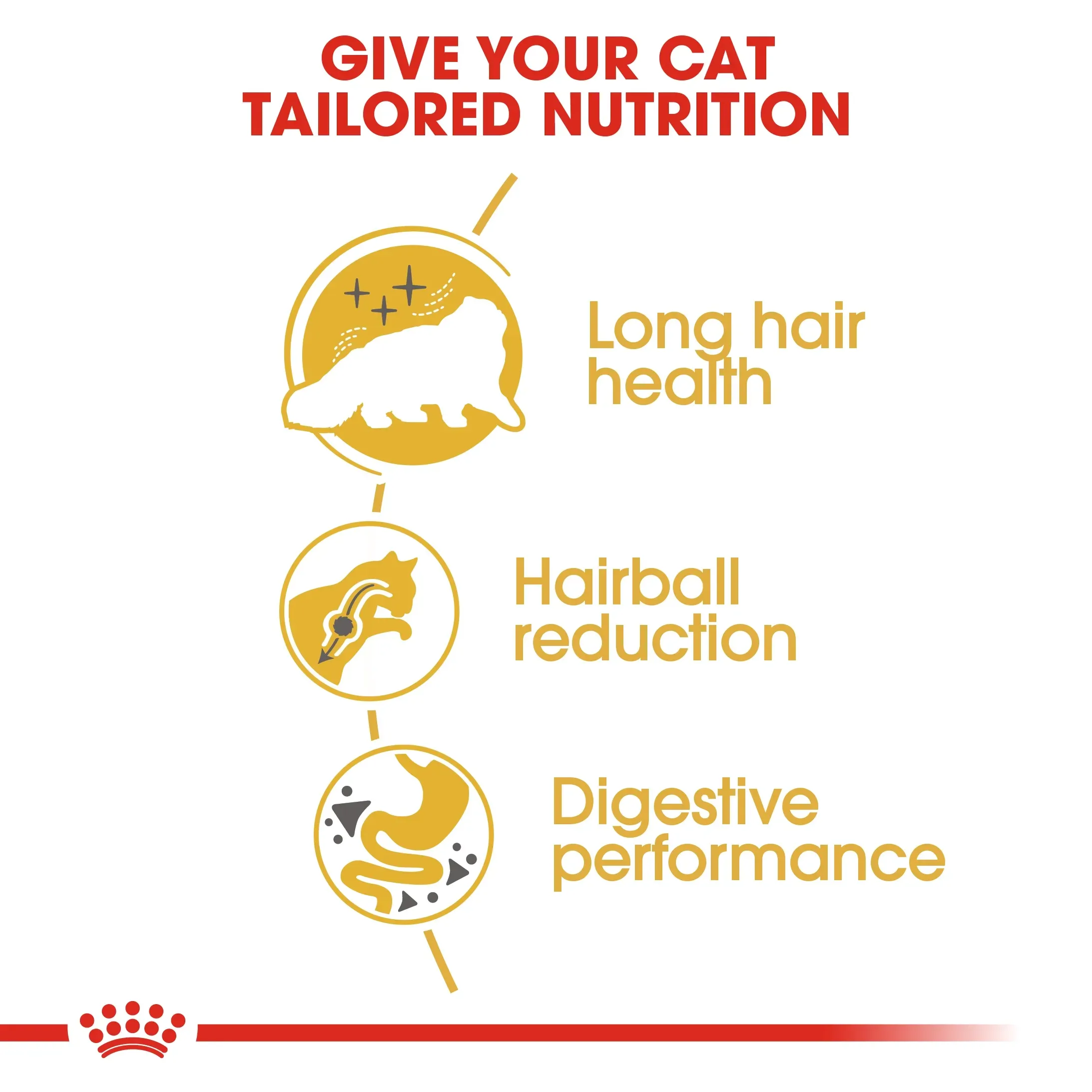 Royal Canin Persian Adult อาหารสำหรับแมวโตสายพันธุ์เปอร์เซีย