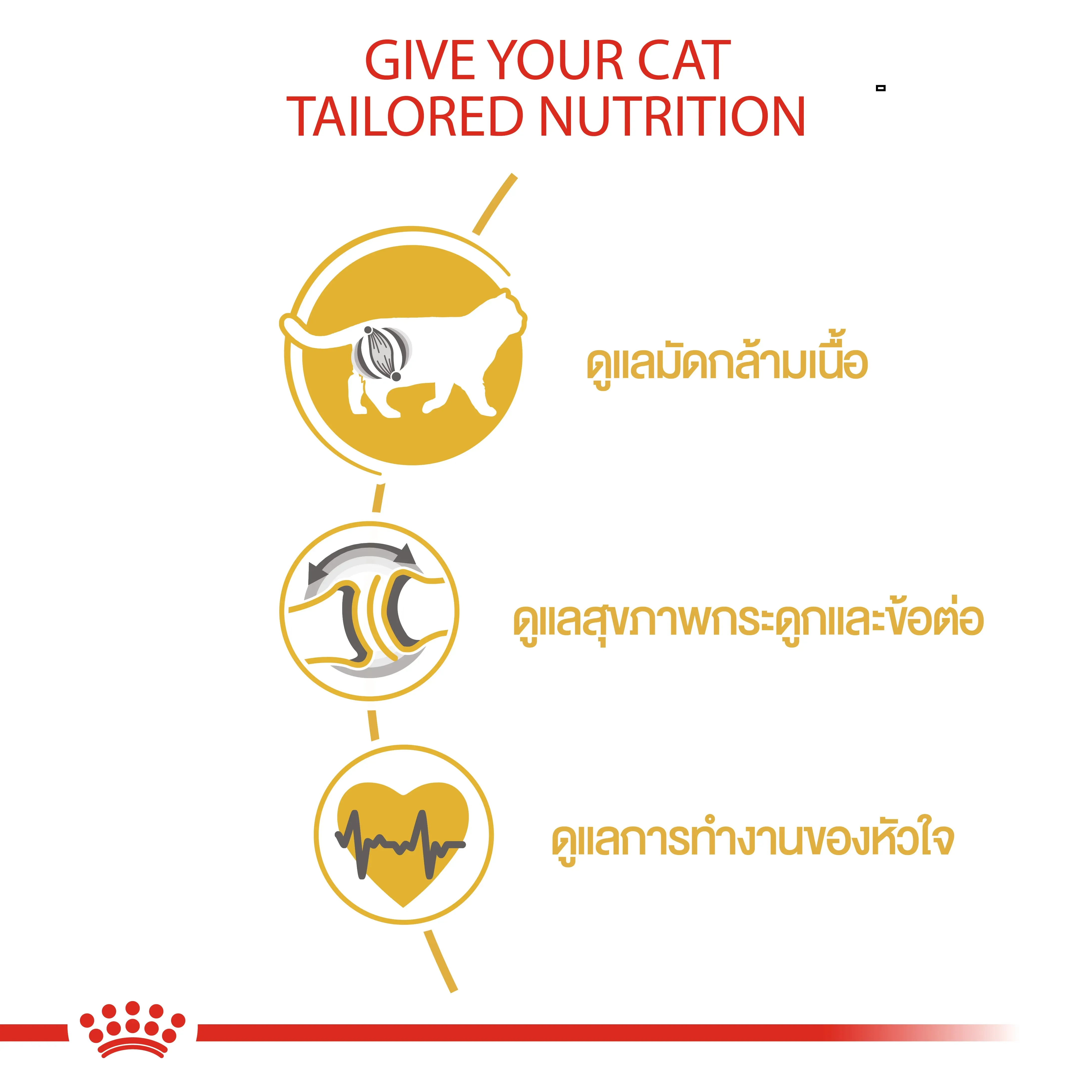 Royal Canin British Shorthair Adult อาหารสำหรับแมวโตสายพันธุ์บริติช ชอร์ตแฮร์