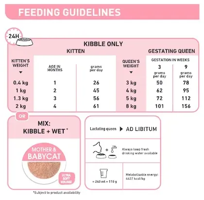 Royal Canin Babycat Can อาหารเปียกแมวกระป๋อง สำหรับแม่และลูกแมว 195 g
