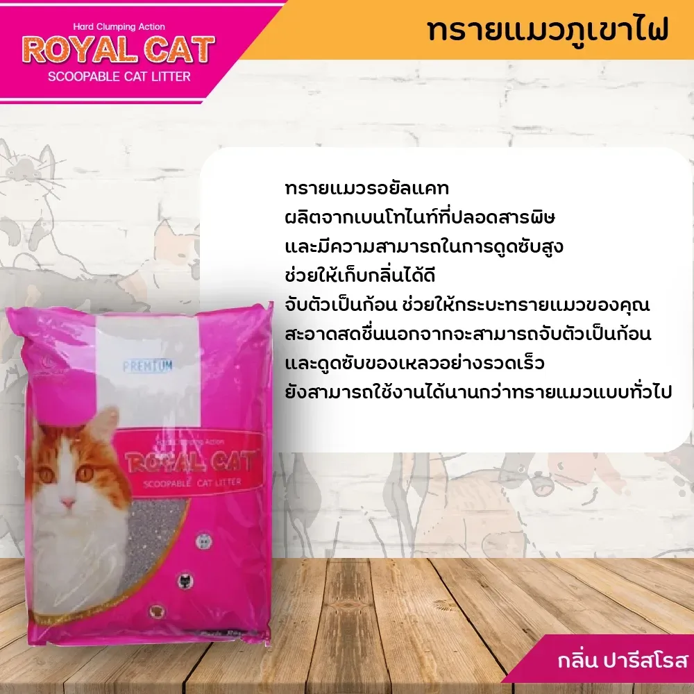 Royal Cat ทรายแมว