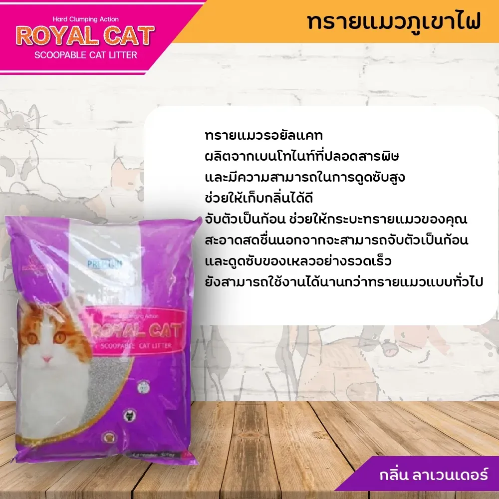 Royal Cat ทรายแมว