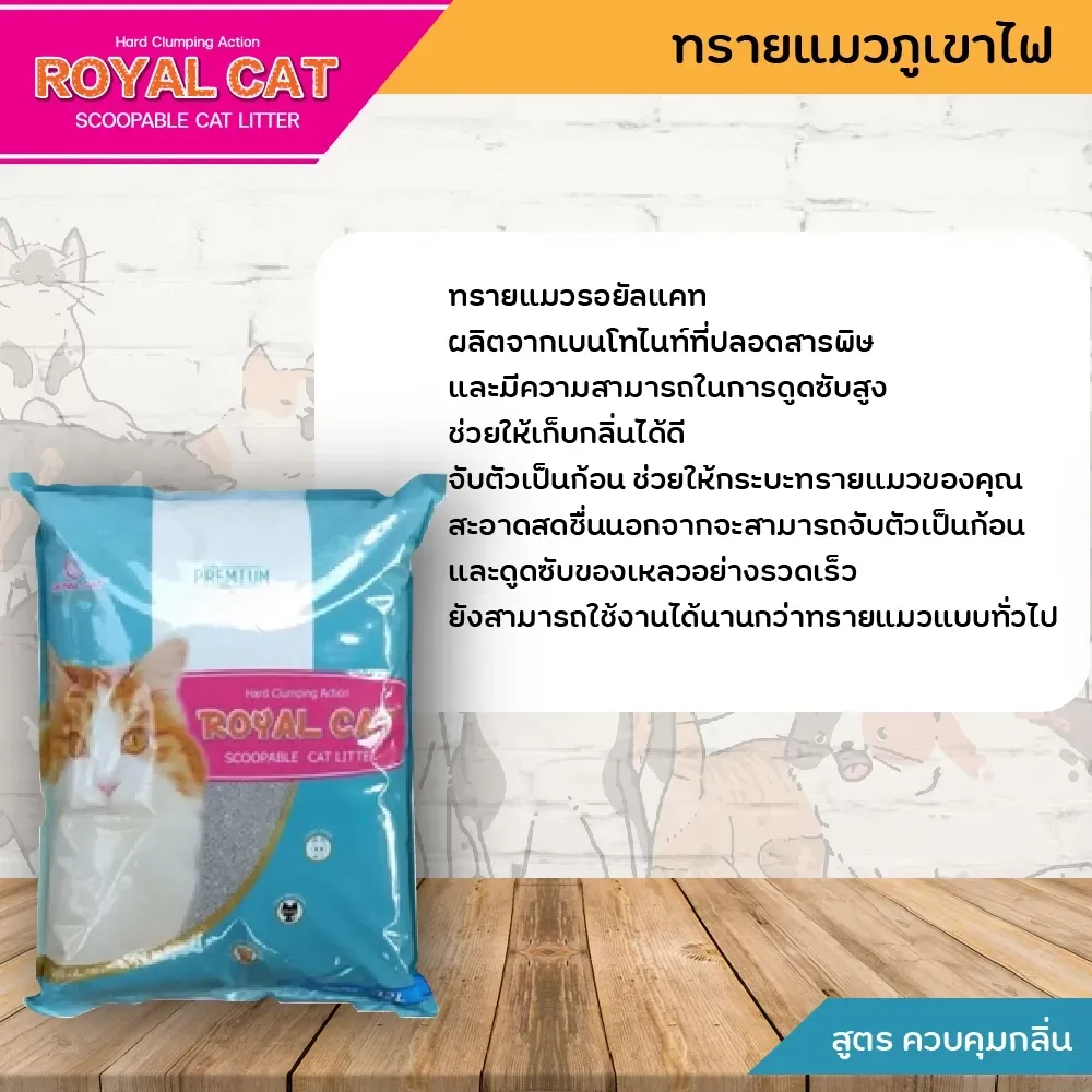 Royal Cat ทรายแมว