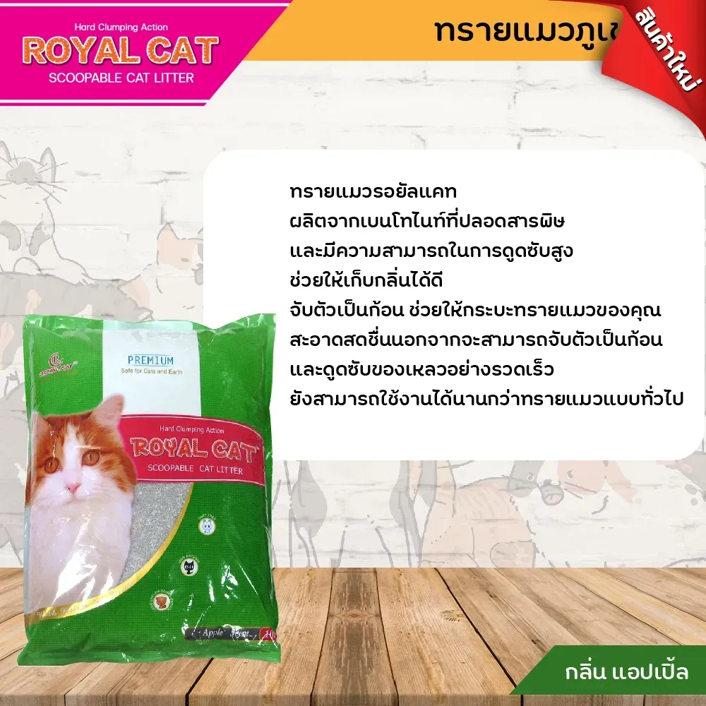 Royal Cat ทรายแมว