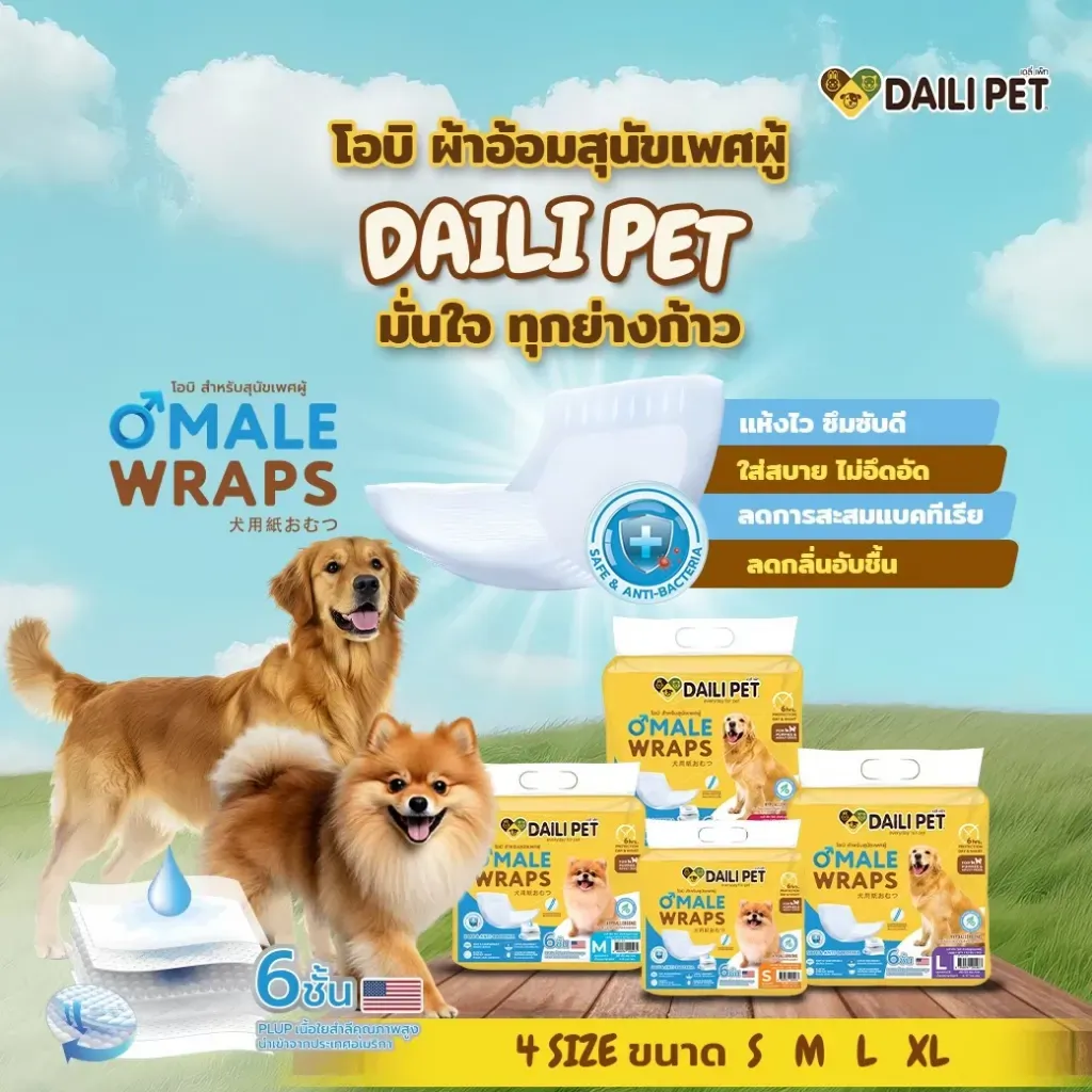 Daili Pet โอบิ สำหรับสุนัขเพศผู้