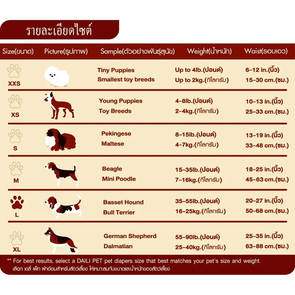 Daili Pet ผ้าอ้อม สำหรับสุนัขเพศเมีย