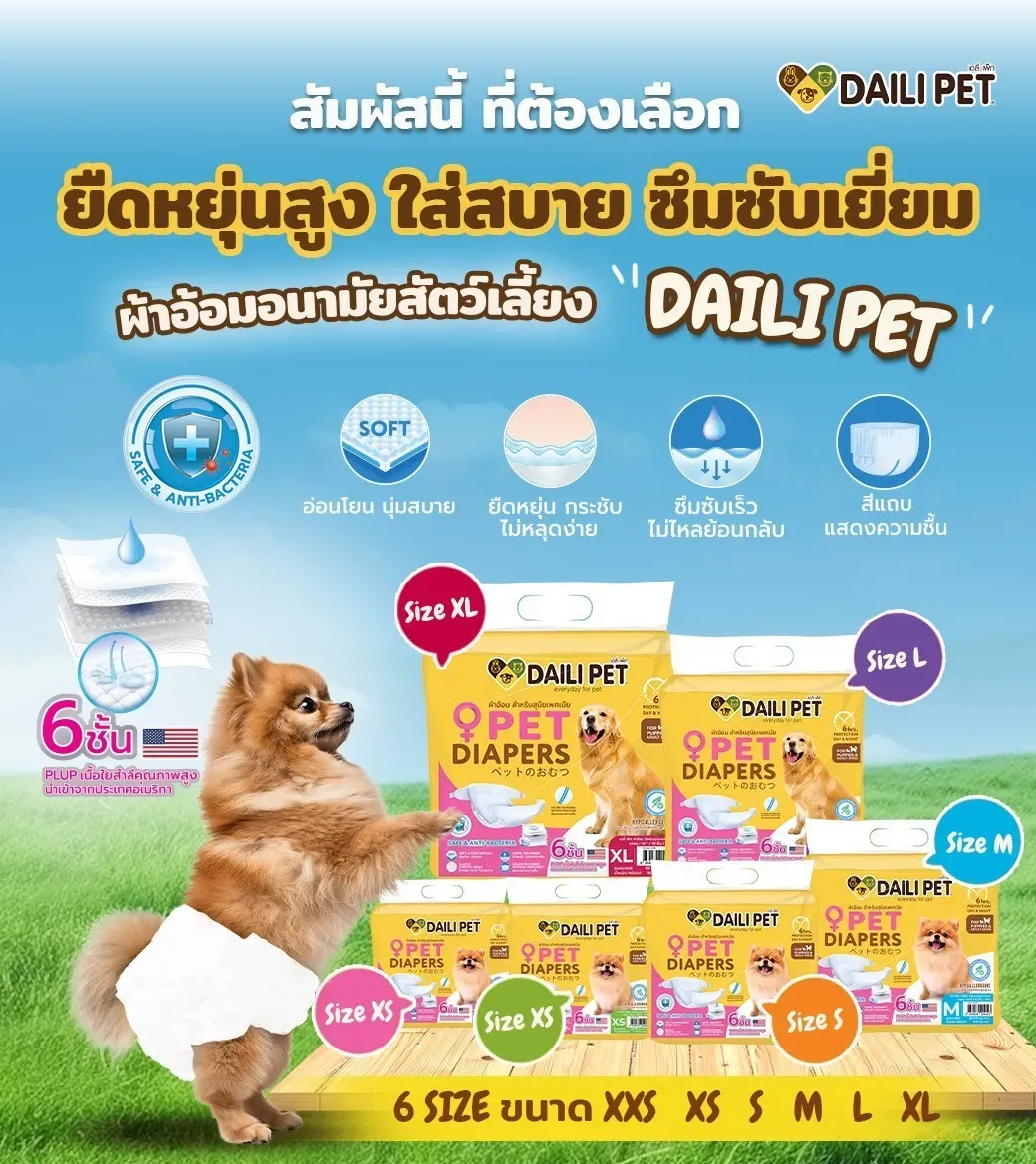 Daili Pet ผ้าอ้อม สำหรับสุนัขเพศเมีย