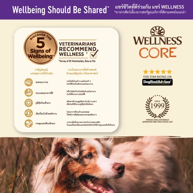 Wellness Core อาหารสุนัข สูตร Senior
