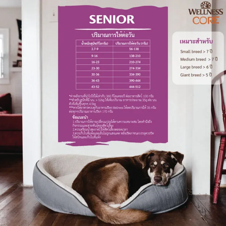 Wellness Core อาหารสุนัข สูตร Senior