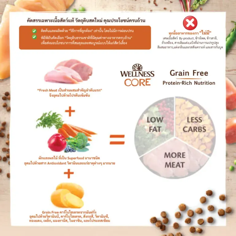 Wellness Core อาหารสุนัข สูตร Senior