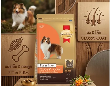 Smartheart Gold Fit&Firm Glossy Coat อาหารเม็ดสุนัขพันธุ์ใหญ่ สูตรบำรุงดูแลสุขภาพเส้นขน