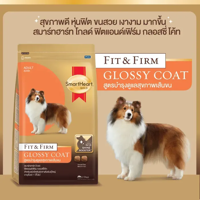 Smartheart Gold Fit&Firm Glossy Coat อาหารเม็ดสุนัขพันธุ์ใหญ่ สูตรบำรุงดูแลสุขภาพเส้นขน