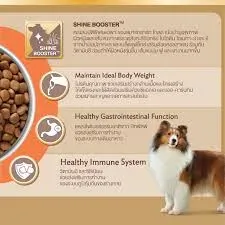 Smartheart Gold Fit&Firm Glossy Coat อาหารเม็ดสุนัขพันธุ์ใหญ่ สูตรบำรุงดูแลสุขภาพเส้นขน