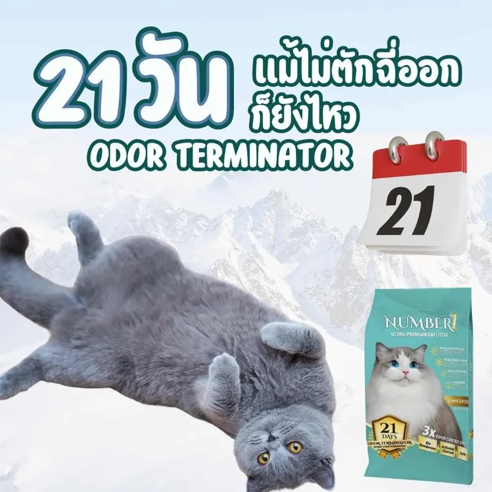Number One ทรายแมวภูเขาไฟ