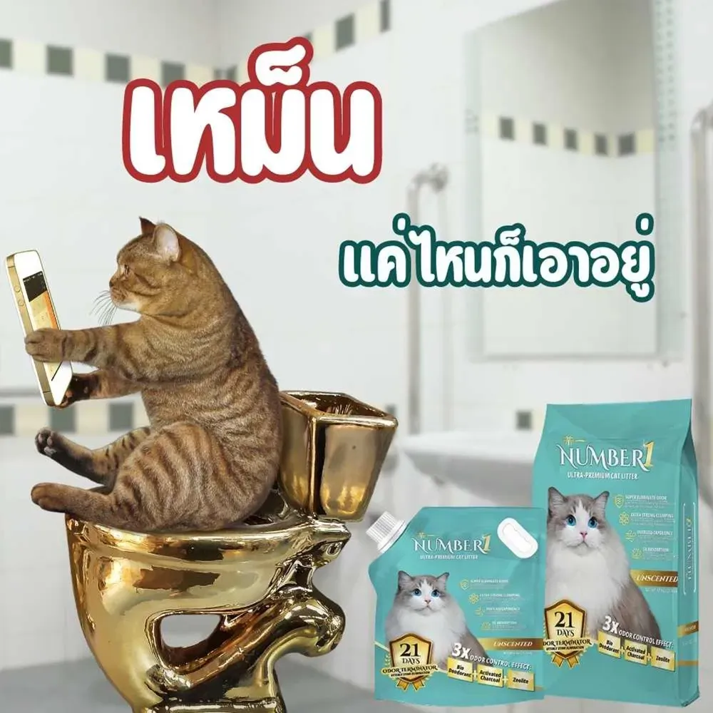 Number One ทรายแมวภูเขาไฟ