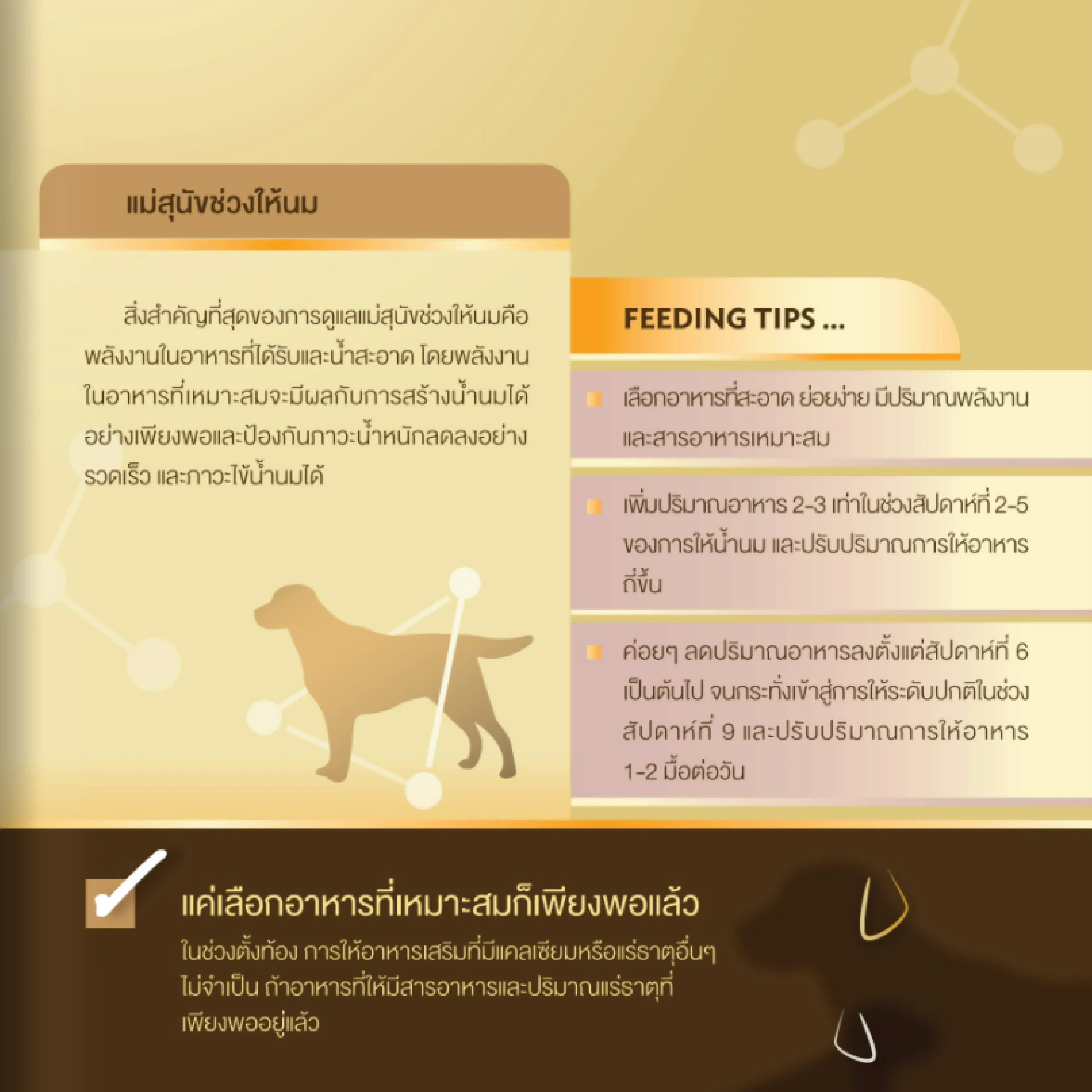 Smartheart Gold Mother & Baby Dog อาหารเม็ดสำหรับแม่สุนัขและลูกสุนัขทุกสายพันธุ์
