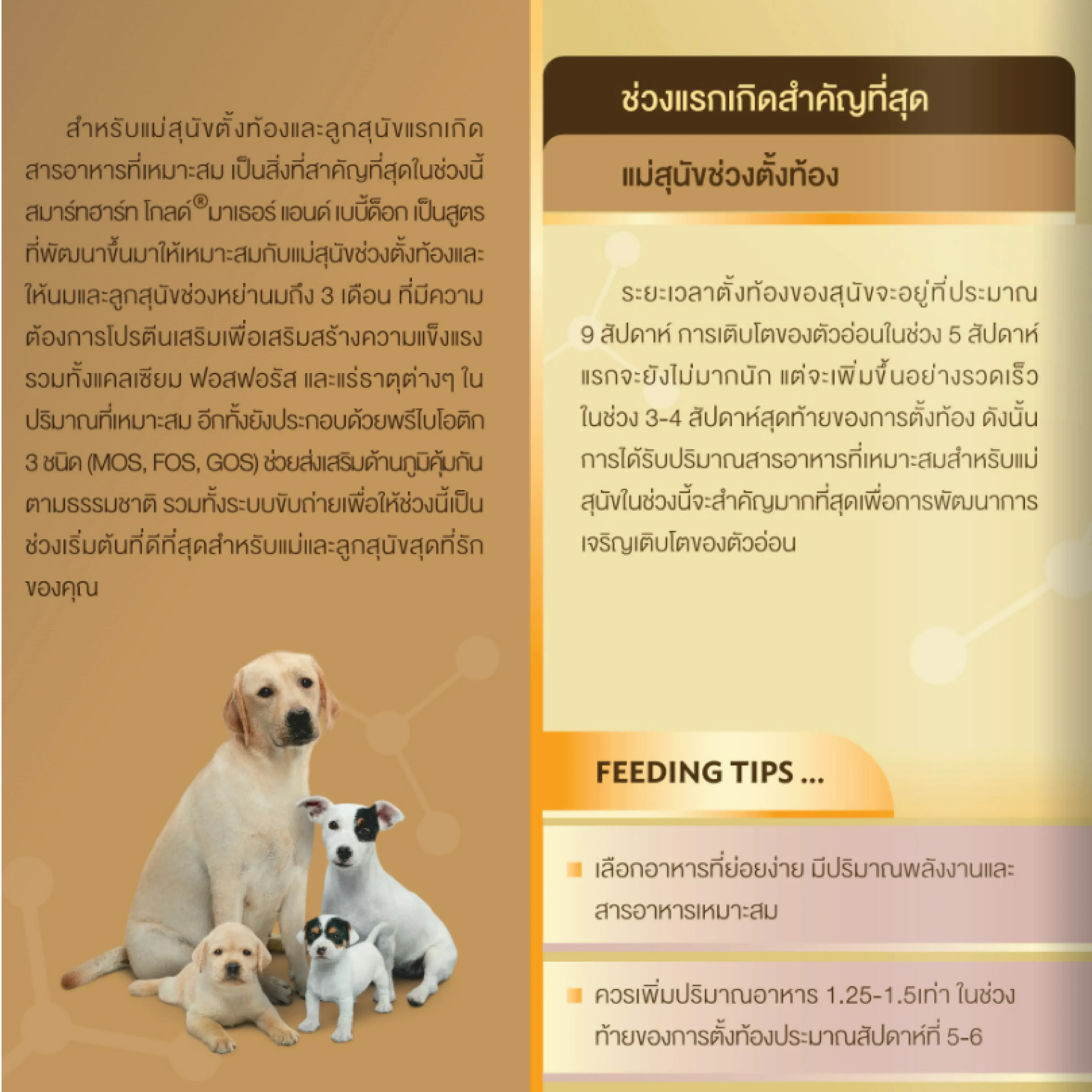 Smartheart Gold Mother & Baby Dog อาหารเม็ดสำหรับแม่สุนัขและลูกสุนัขทุกสายพันธุ์
