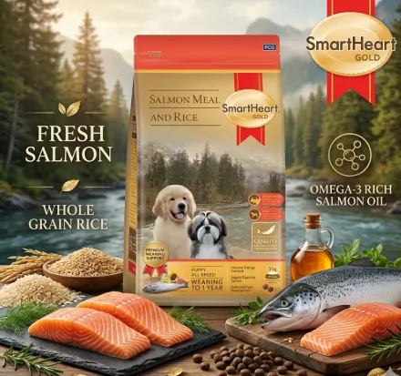 Smartheart Gold Puppy Salmon&Rice อาหารเม็ดสำหรับลูกสุนัข