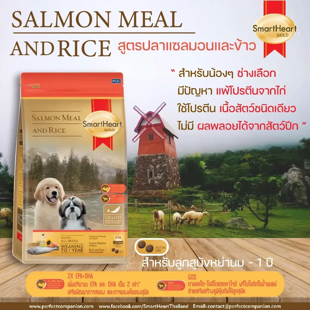 Smartheart Gold Puppy Salmon&Rice อาหารเม็ดสำหรับลูกสุนัข
