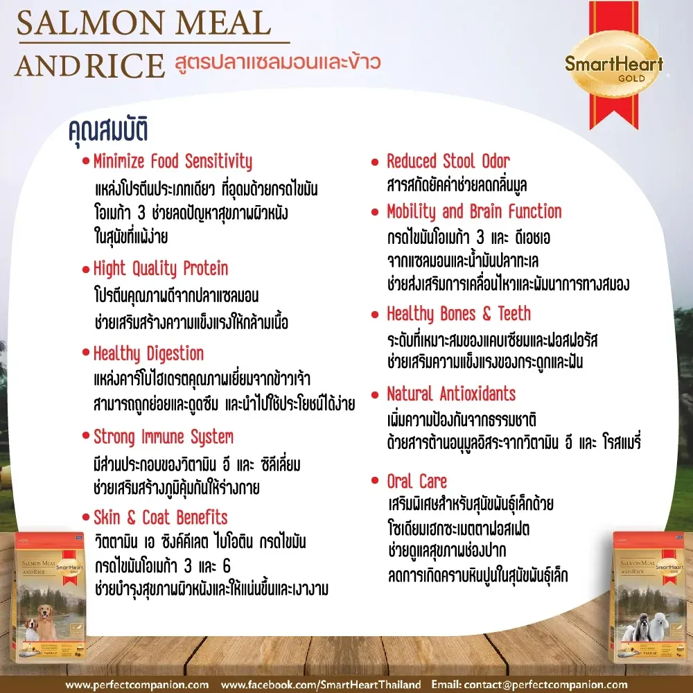 Smartheart Gold Salmon&Rice อาหารเม็ดสำหรับสุนัขโตพันธุ์กลาง-ใหญ่