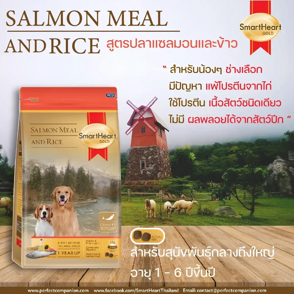 Smartheart Gold Salmon&Rice อาหารเม็ดสำหรับสุนัขโตพันธุ์กลาง-ใหญ่