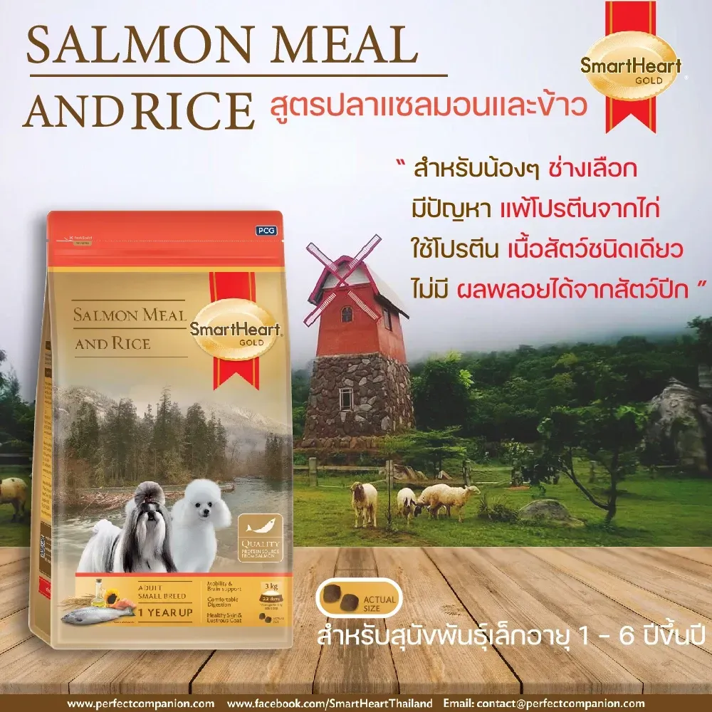 Smartheart Gold Salmon&Rice อาหารเม็ดสำหรับสุนัขโตพันธุ์เล็ก