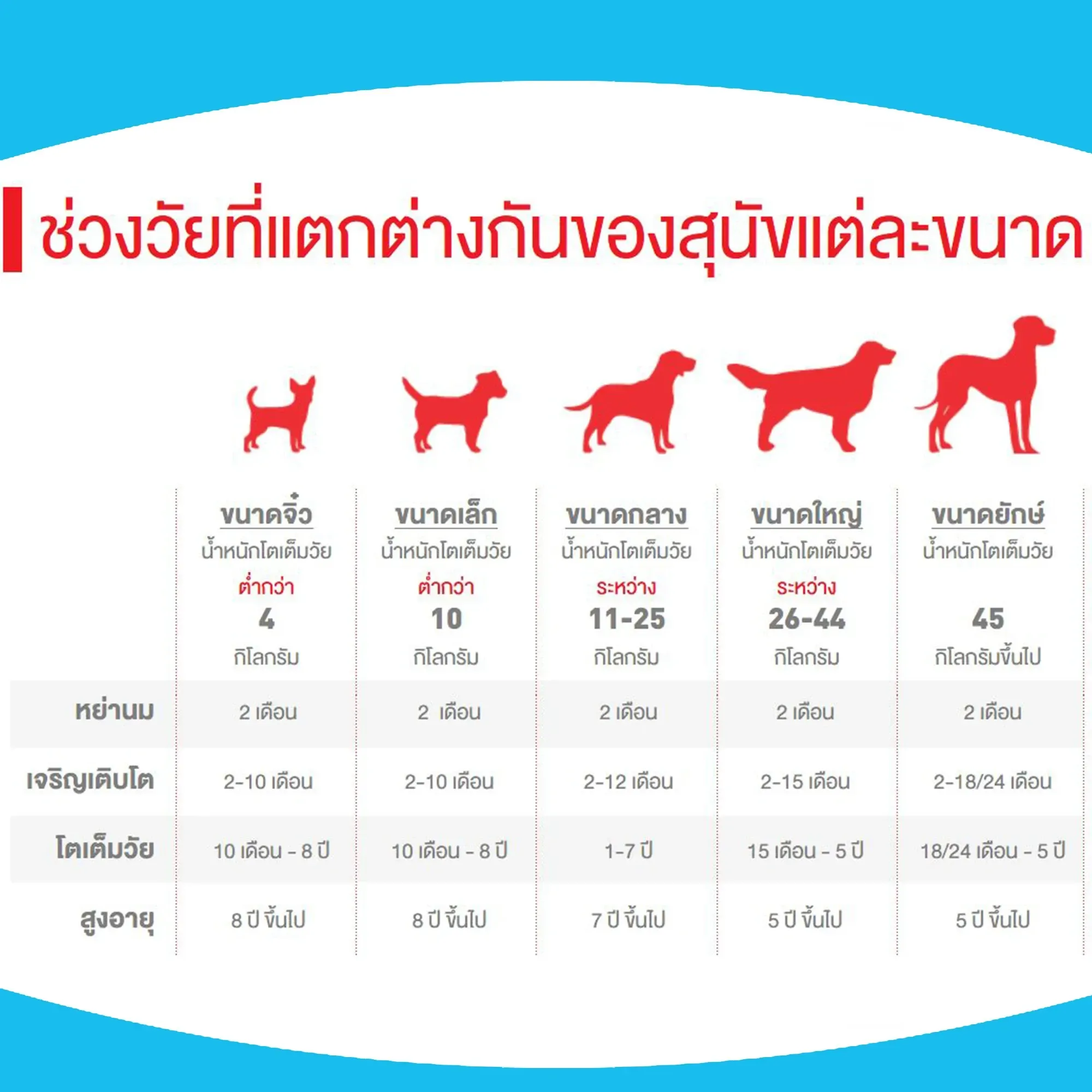 Royal Canin Mini Starter Mother & Baby Dog อาหาร สำหรับแม่และลูกสุนัขพันธุ์เล็ก