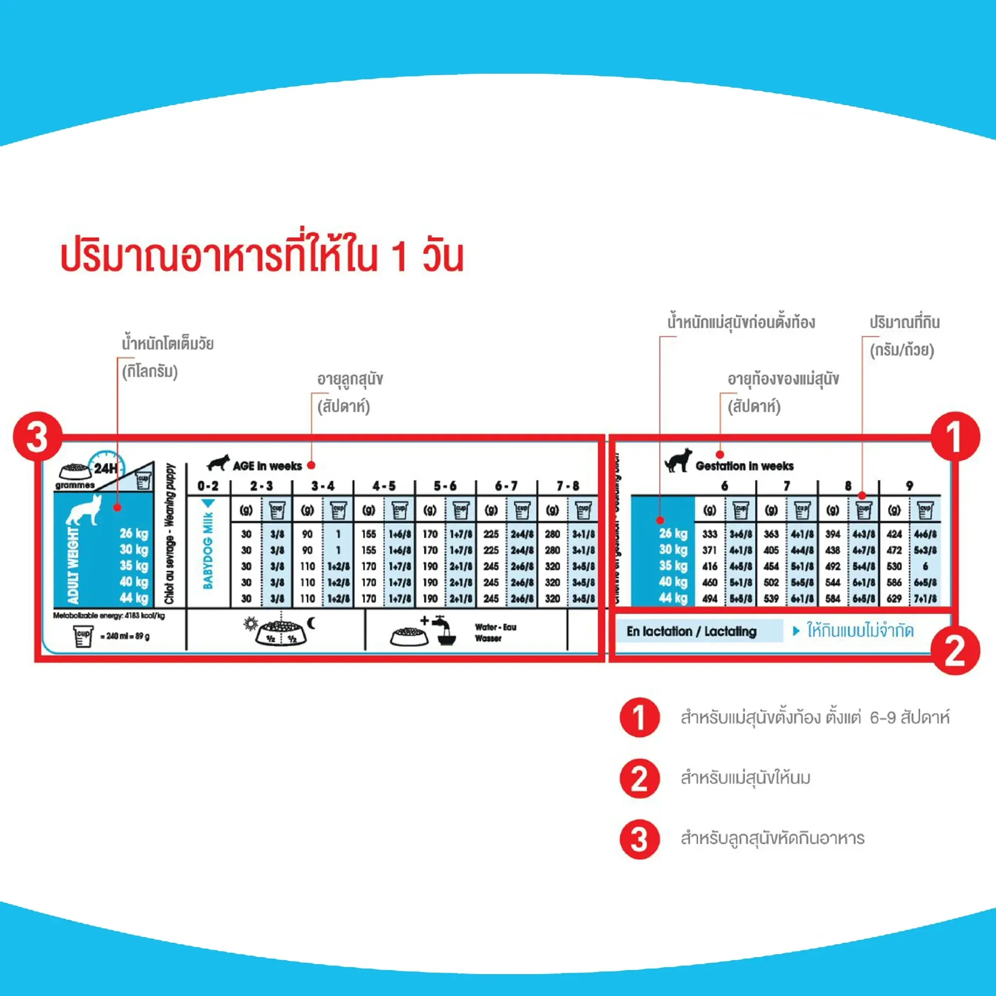 Royal Canin Mini Starter Mother & Baby Dog อาหาร สำหรับแม่และลูกสุนัขพันธุ์เล็ก