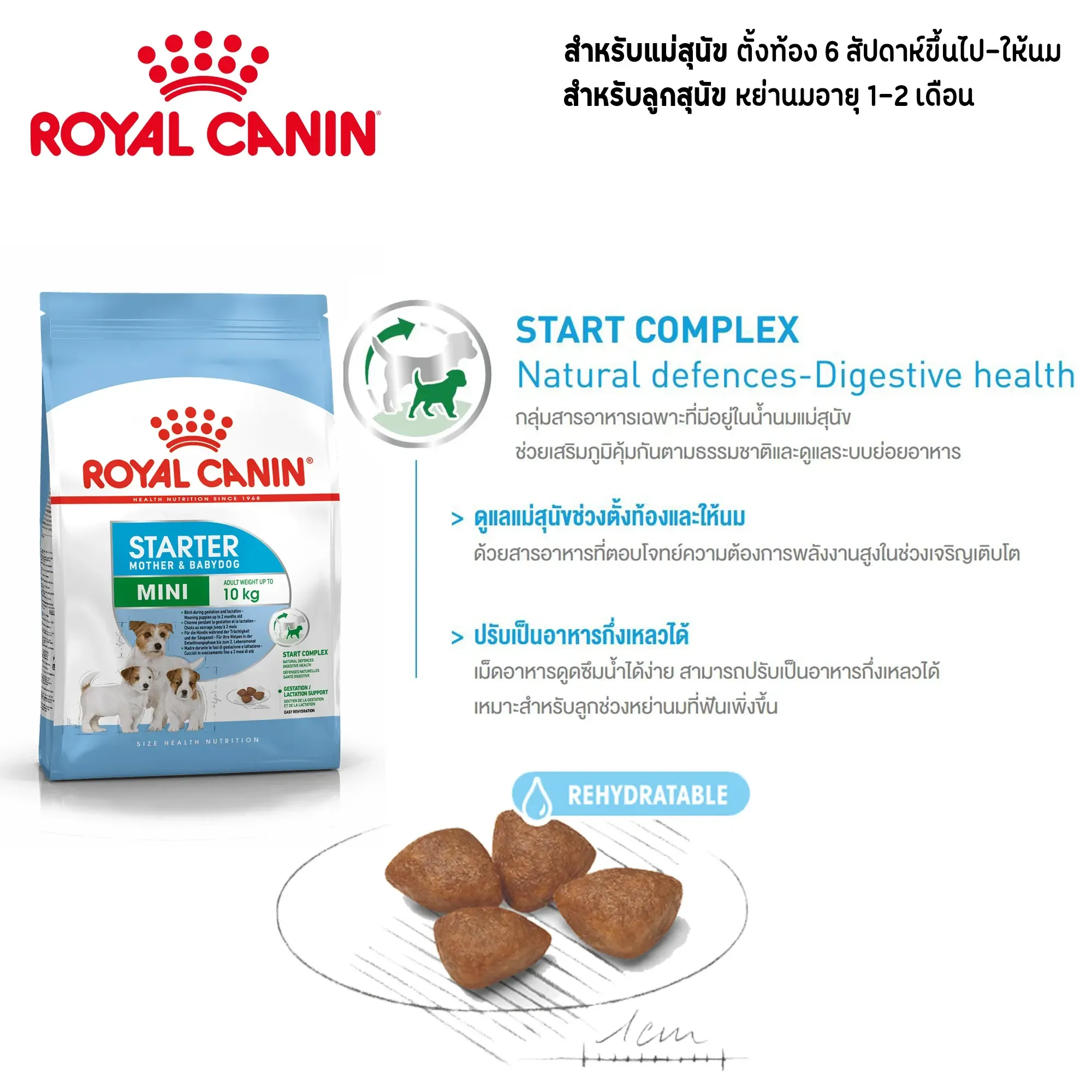 Royal Canin Mini Starter Mother & Baby Dog อาหาร สำหรับแม่และลูกสุนัขพันธุ์เล็ก