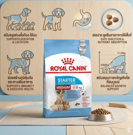 Royal Canin Medium Starter Mother & Baby Dog อาหารสำหรับแม่สุนัขและลูกสุนัขพันธุ์กลาง