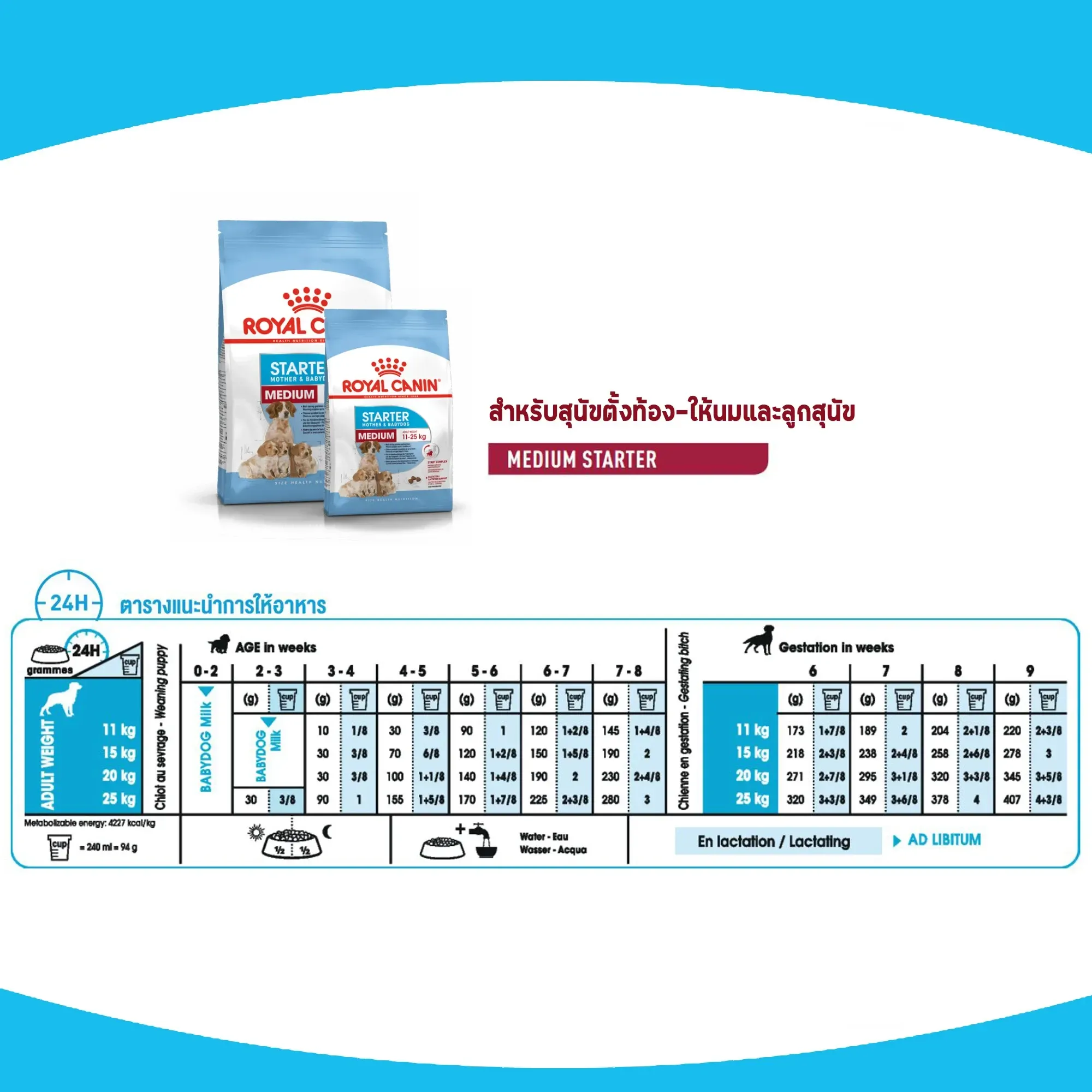 Royal Canin Medium Starter Mother & Baby Dog อาหารสำหรับแม่สุนัขและลูกสุนัขพันธุ์กลาง