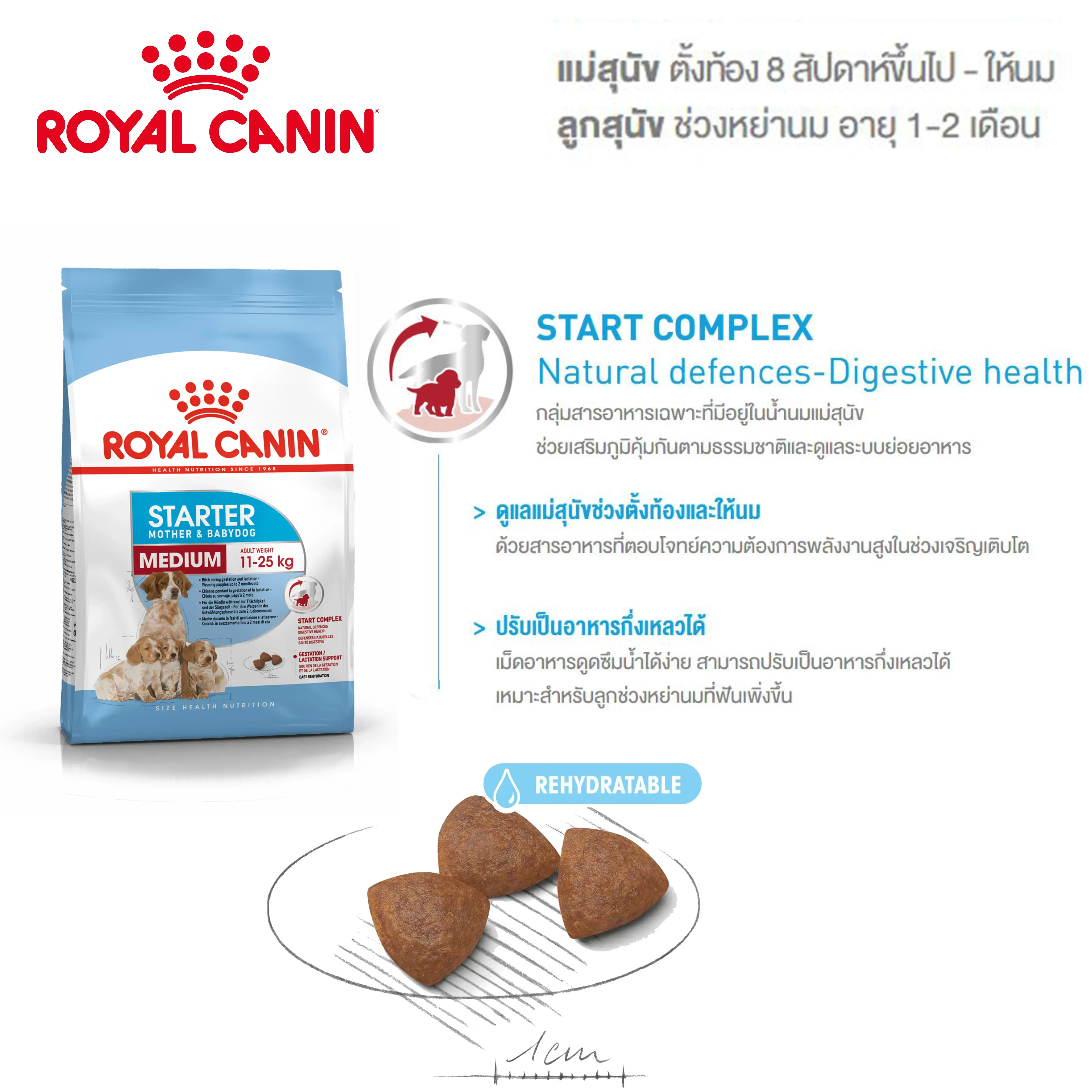 Royal Canin Medium Starter Mother & Baby Dog อาหารสำหรับแม่สุนัขและลูกสุนัขพันธุ์กลาง