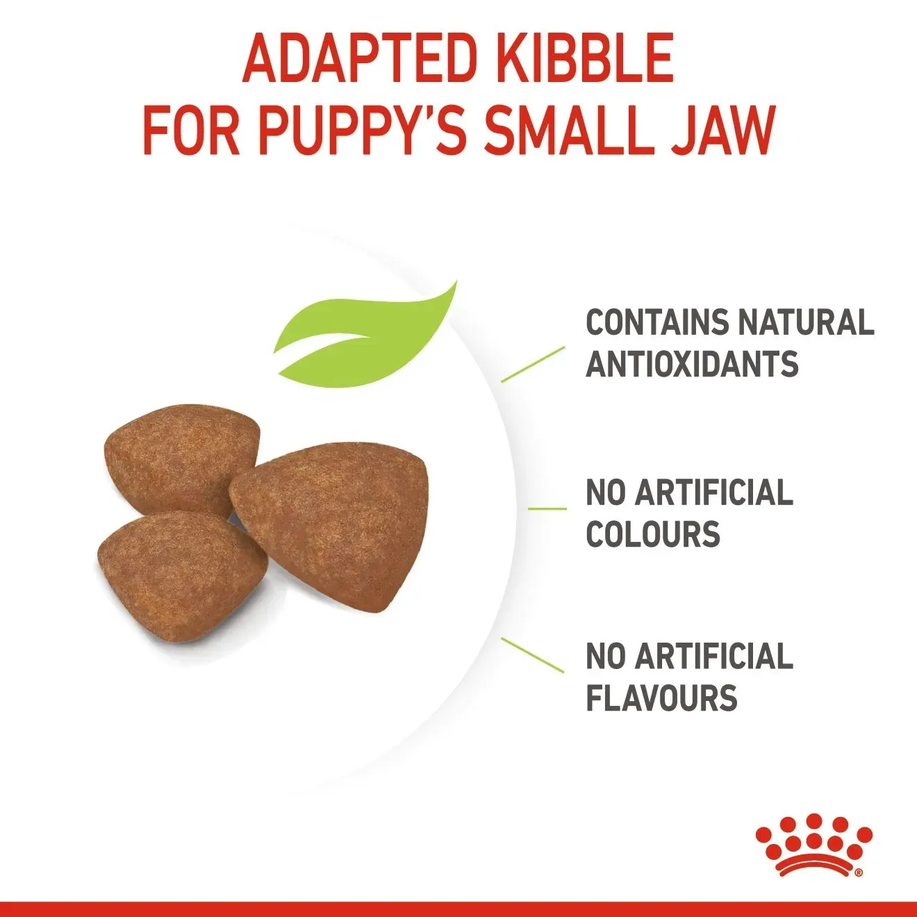 Royal Canin Mini Puppy อาหาร สำหรับลูกสุนัขพันธุ์เล็ก