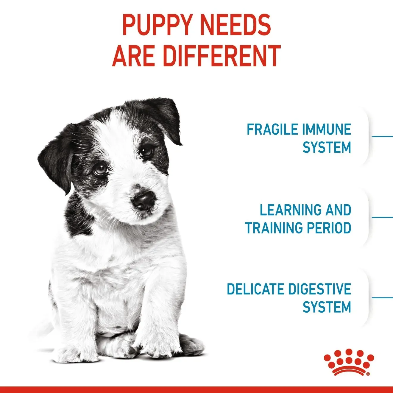 Royal Canin Mini Puppy อาหาร สำหรับลูกสุนัขพันธุ์เล็ก