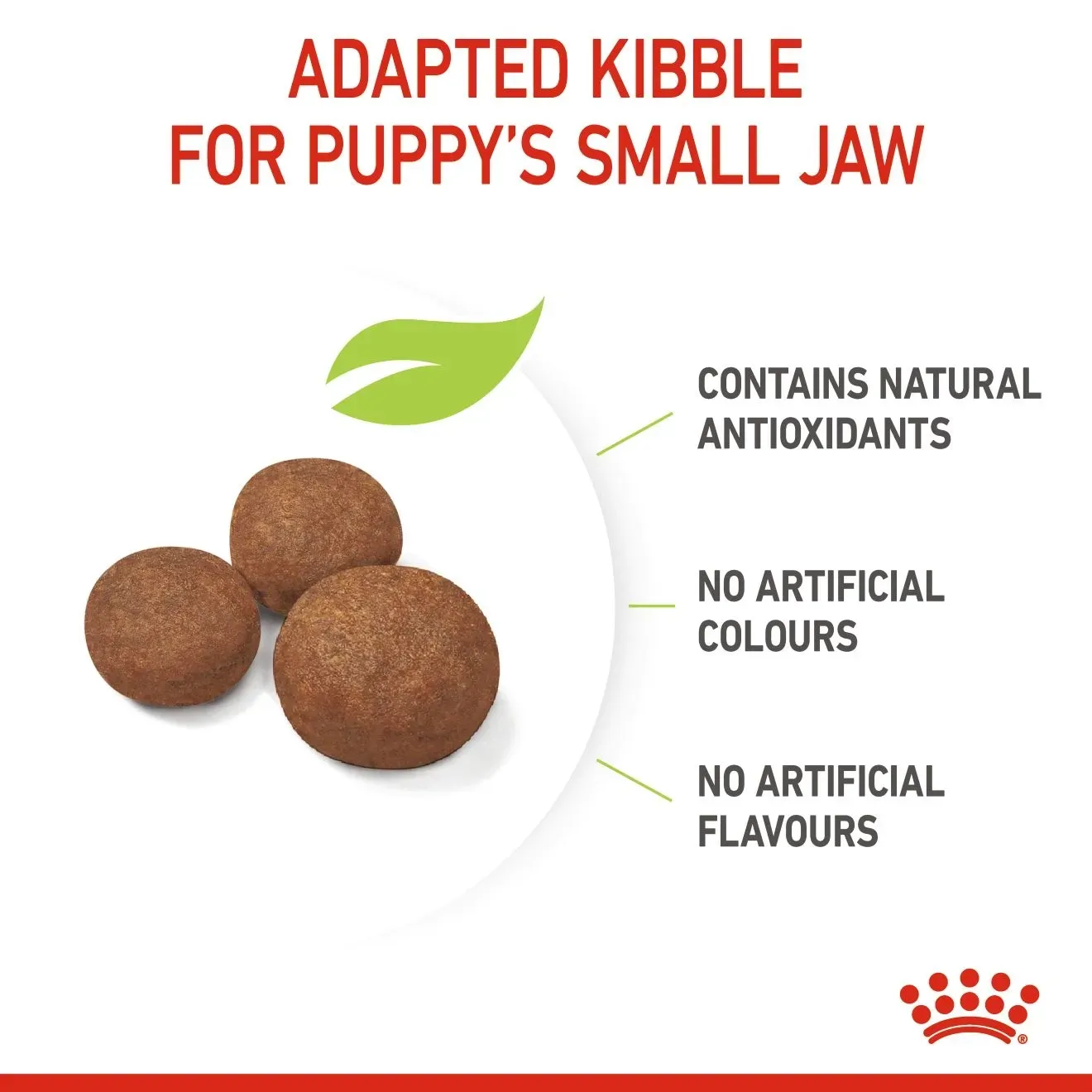 Royal Canin Medium Puppy อาหารสำหรับลูกสุนัขพันธุ์กลาง