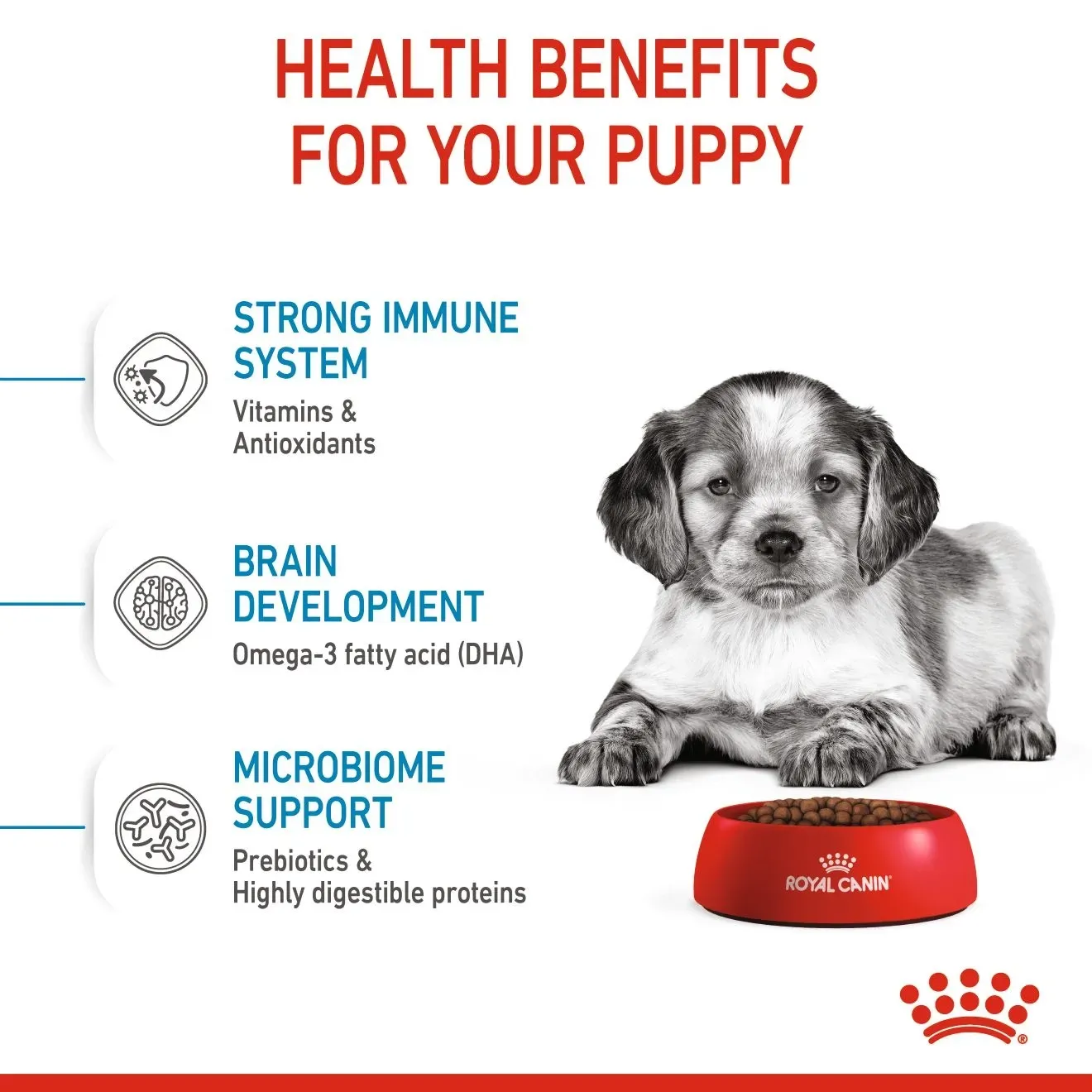 Royal Canin Medium Puppy อาหารสำหรับลูกสุนัขพันธุ์กลาง