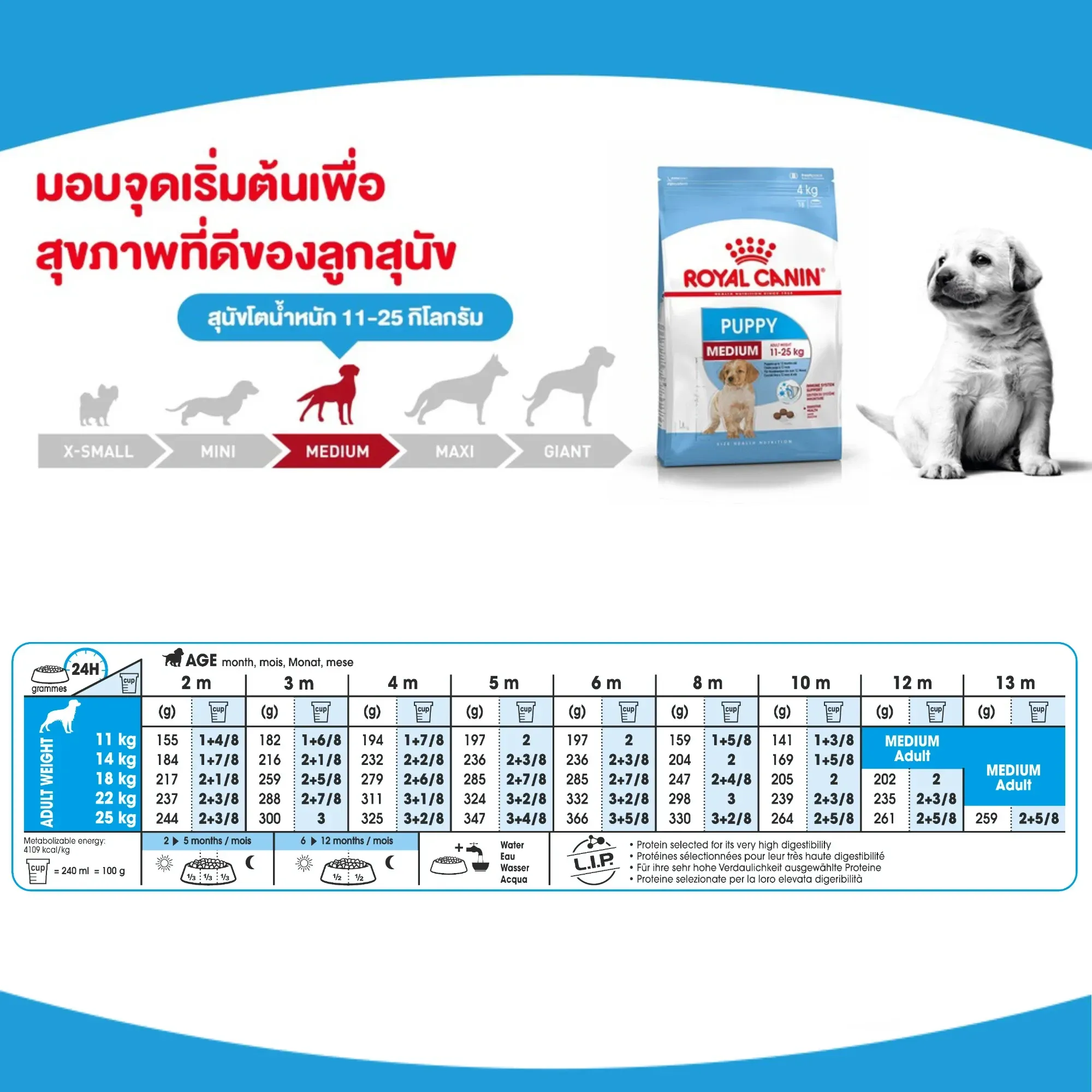 Royal Canin Medium Puppy อาหารสำหรับลูกสุนัขพันธุ์กลาง