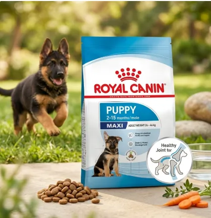 Royal Canin Maxi Puppy อาหารสำหรับลูกสุนัขพันธุ์ใหญ่