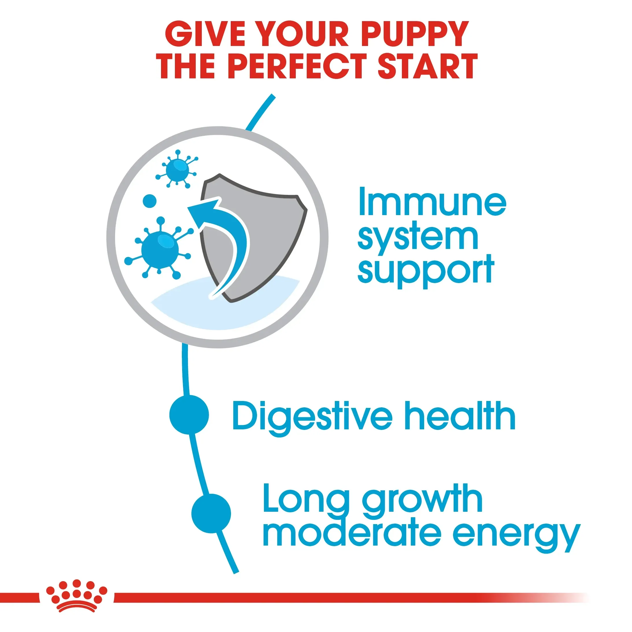 Royal Canin Maxi Puppy อาหารสำหรับลูกสุนัขพันธุ์ใหญ่